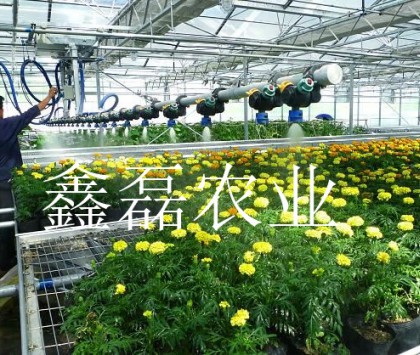 溫室噴灌系統(tǒng)