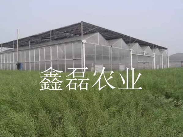 陽(yáng)光板溫室